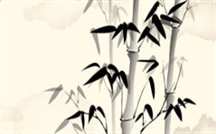 属鼠与属狗的财运相合性分析