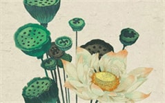 雾里看花是什么生肖,落花流水是指什么生肖